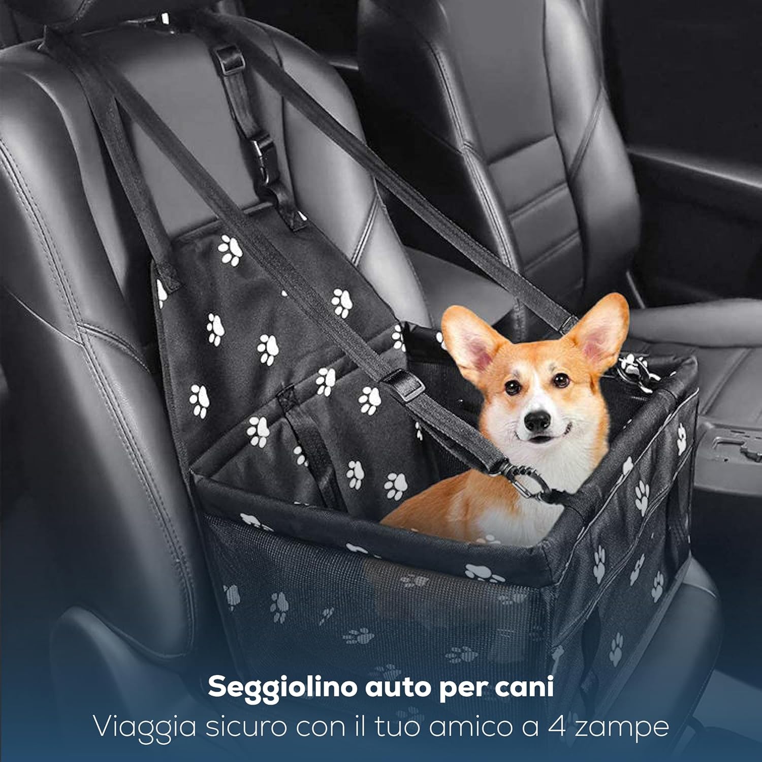 Viaggi Sicuri per Amici Pelosi